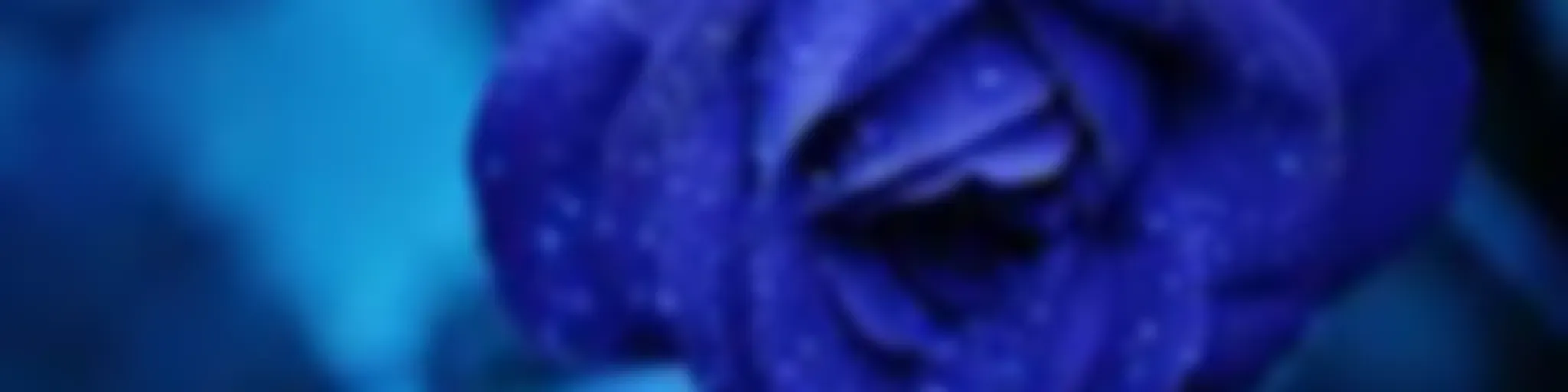 La Flor Azul