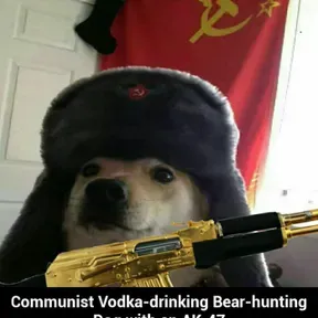 new gamer