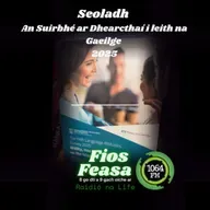 Tuairisc ag Rossa Ó Sioradáin ar sheoladh An Suirbhé ar Dhearcthaí i leith na Gaeilge