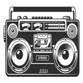 Ds Radio Conectado