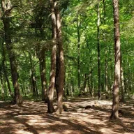 US Forest Service changes, Spring election preview, Silent book clubs