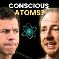 Why Your Brain Doesn't Create Consciousness: It's Always Been There (ft. Philip Goff)