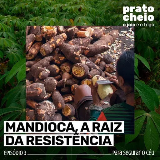 Mandioca, a raiz da resistência