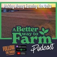 350: Making Money Farming the Delta