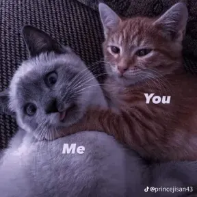 Eng song