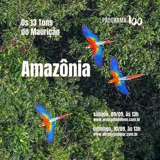 PGM 100 - 13 TONS DO MAURIÇÃO - 100922
