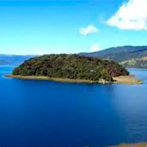 Paisaje musical colombiano