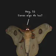 amor sin frontera