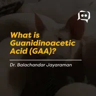 What is Guanidinoacetic Acid (GAA)? - Dr. Balachandar Jayaraman