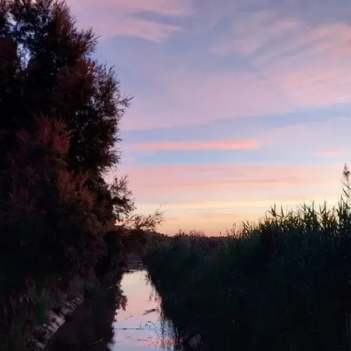 VIENTO DE LEBECHE T03C047 Los veranos del Campo de Cartagena (22/07/2024)