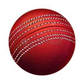 CRICKET DEL MUNDO