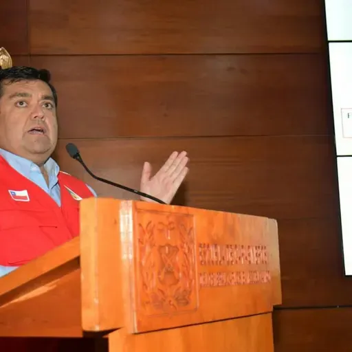 Jefe de prevención de incendios CONAF por origen del fuego en Ñuble y Biobío: " Hemos registrado algo de intencionalidad".