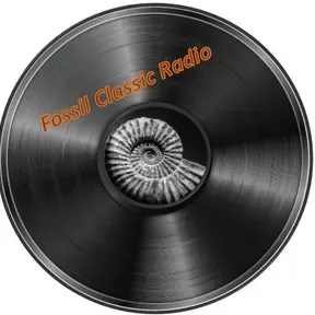 Fossil Classic Radio