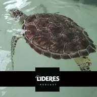 Rescate ecológico en Xcaret