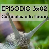 Episodio 3X02: Caracoles a la llauna