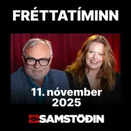 FRÉTTATÍMINN 11. nóvember