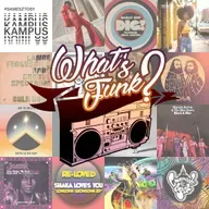 What’s Funk? 6.02.206 - Dig!