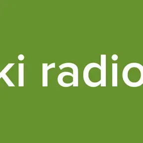 krsjiski radio soko