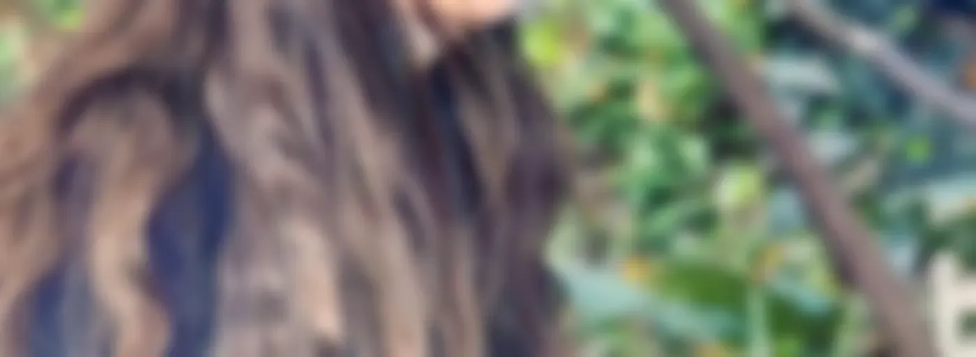 El podcast de BIOTIFUL365 con Lou Jimenez