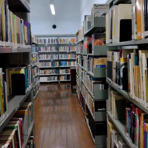 Sobre a história 