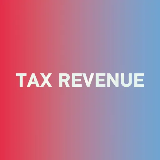 Special: How to say "tax revenue 税收" in Chinese?