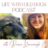 When Your Life Falls Apart But the Dogs Still Need You: Commitment in the Hard Lessons
