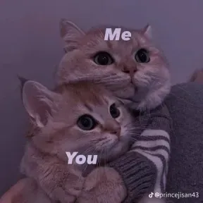 Qqqqqqq