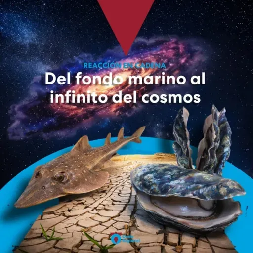 REACCIÓN EN CADENA T08C018 Del fondo marino al infinito del cosmos (24/02/2026)