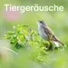 104.6 RTL - Tiergeräusche
