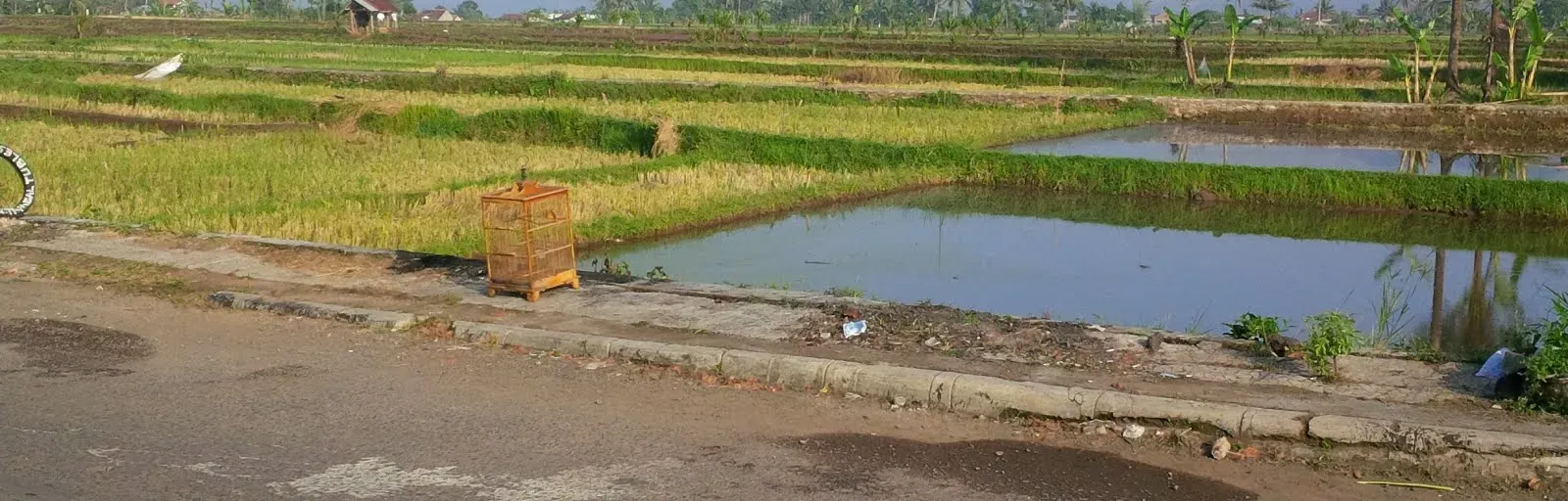 Soerawoeng Warna