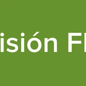 Visión FM