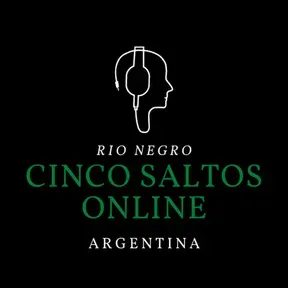 CINCO SALTOS ONLINE