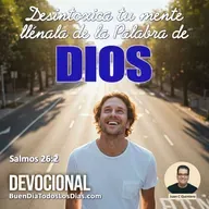 Desintoxica tu mente
