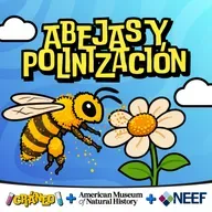 Abejas: las heroínas de la polinización