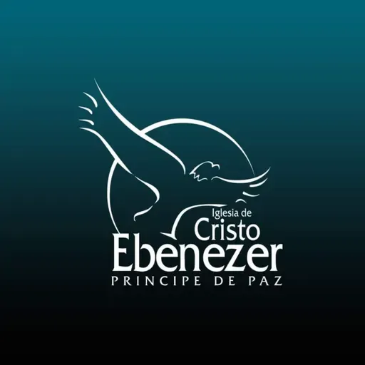 El proceso del soñador