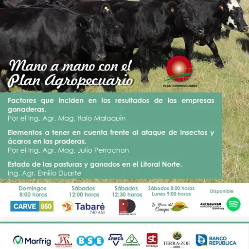 Empresas Ganaderas. Insectos, ácaros en praderas. Pasturas y ganados, Litoral Norte
