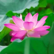 Meditación -visualización guiada para conectar con tu fuerza interior