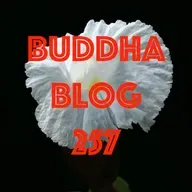 257-Gelassenheit-Buddha Blog - Buddhismus im Alltag