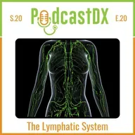 S20 Ep20: The Lymphatic System