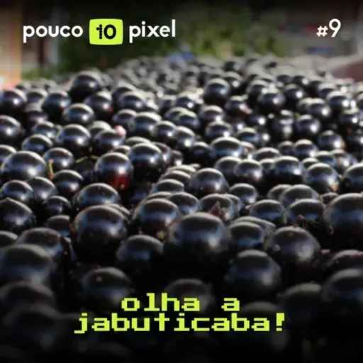 10 Anos #9: Olha a jabuticaba!