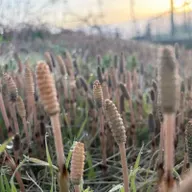 朝ラン8℃。後期高齢者になっても車の運転だけはやめるもんかと強く思った和田秀樹先生の提言。#1822 from Radiotalk