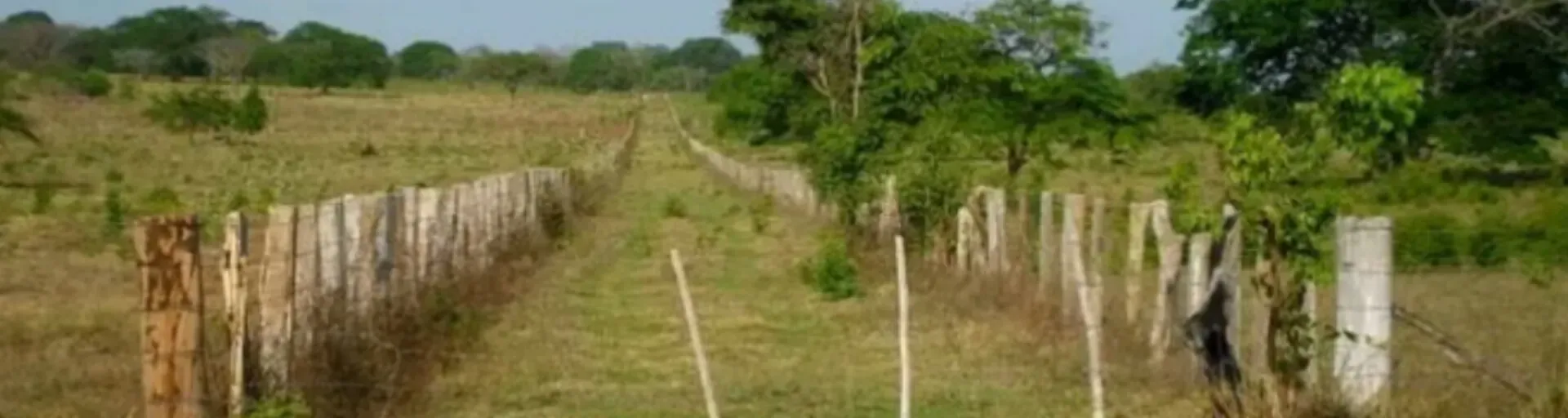 RADIO LA PUERTA DEL LLANO Desde Pariaguan Anzoategui