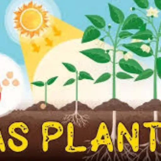 TURNO TARDE 24-10 (2° B Y 3° B)