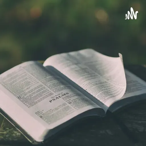 Vengan y vean la Salvación de Dios.
