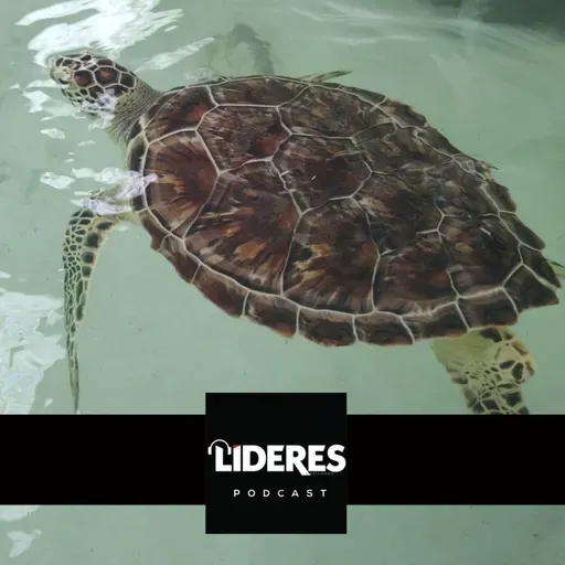 Rescate ecológico en Xcaret