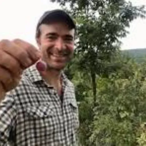 Syntropic Agroforestry Interview Erik Schellenberg