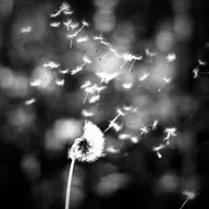 das palavras que convocam e libertam | Domingo III Tempo Comum A