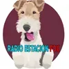 Radio Estacion Fox en vivo