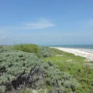 La duna costera con Rodrigo Escamilla