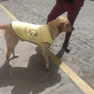 Más de uno Ceuta 20/10/25